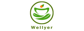 Wellyer Inc. Logo