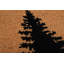 Park Non-Slip Christmas Outdoor Doormat