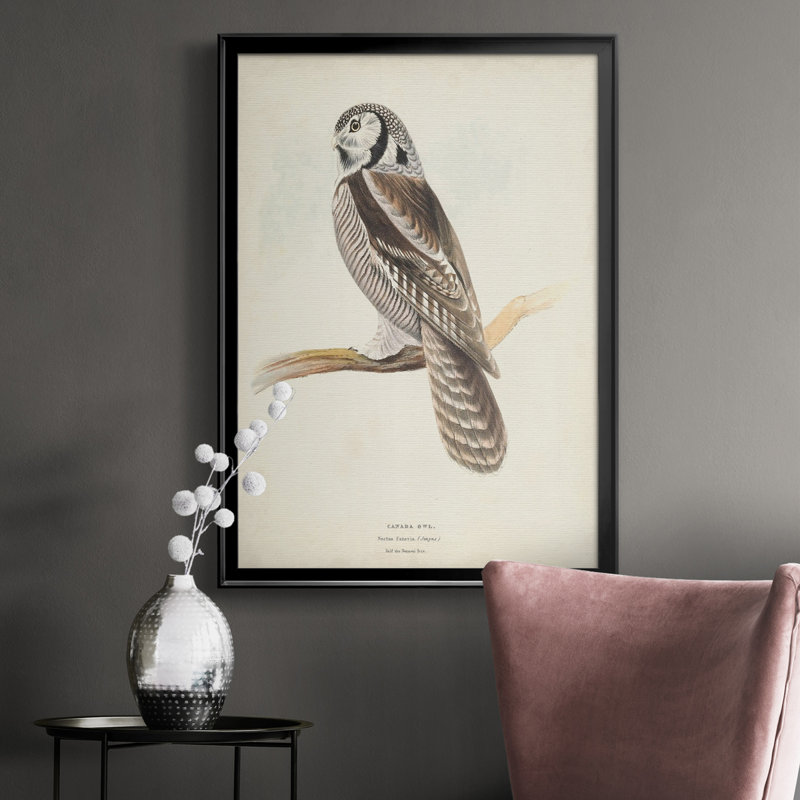 Toile encadrée de qualité supérieure Canada Owl - prête à être accrochée, Noir, H 30,5 po x l 22,5 po x P 1 po