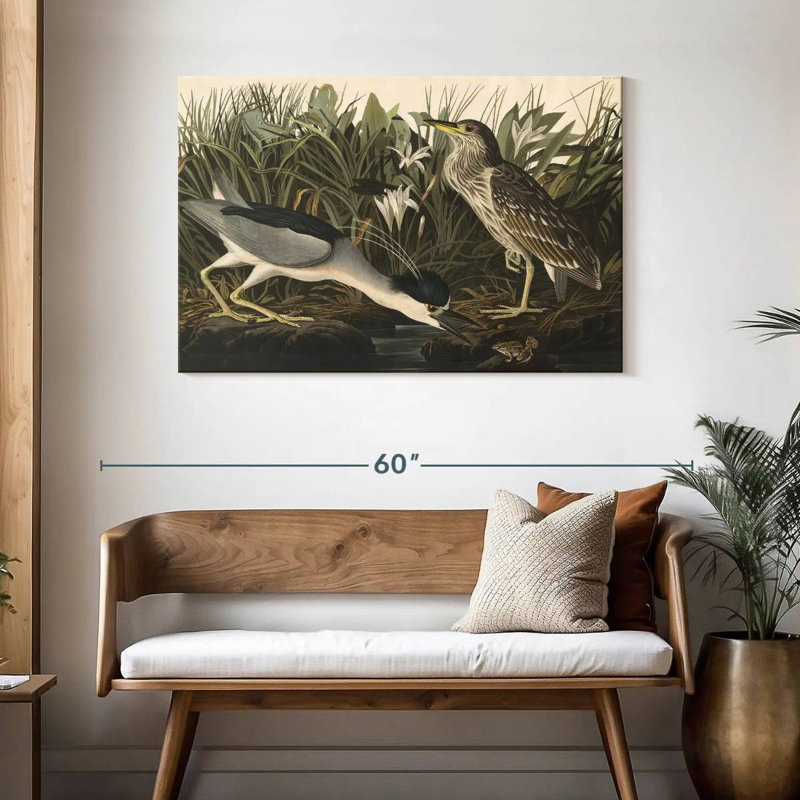 Héron nocturne des oiseaux d'Amérique, H 30 po x l 45 po