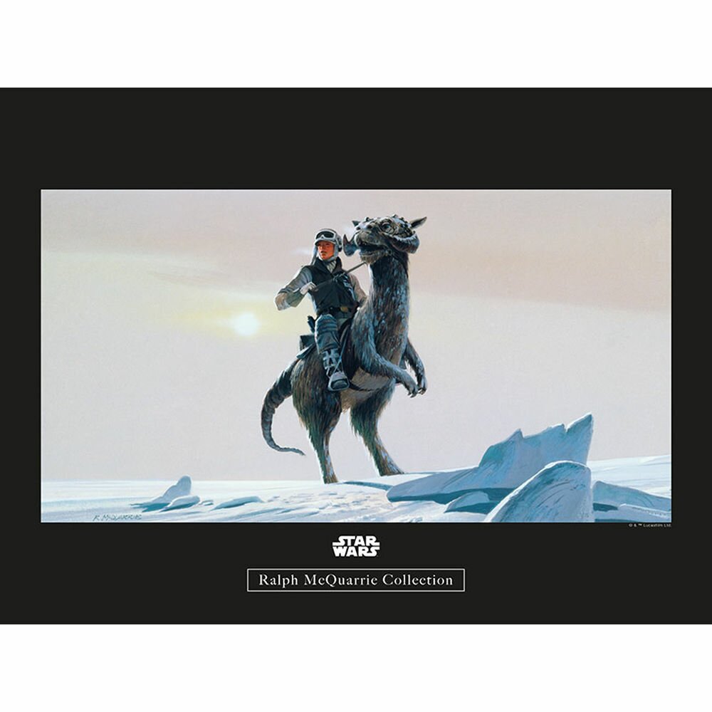 Poster Star Wars Rmq Hoth Tauntaun