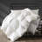 Goose Feathers Down Comforter, All Season Goose Down Duvet Insert 650In³/Oz Fill Power-56199959