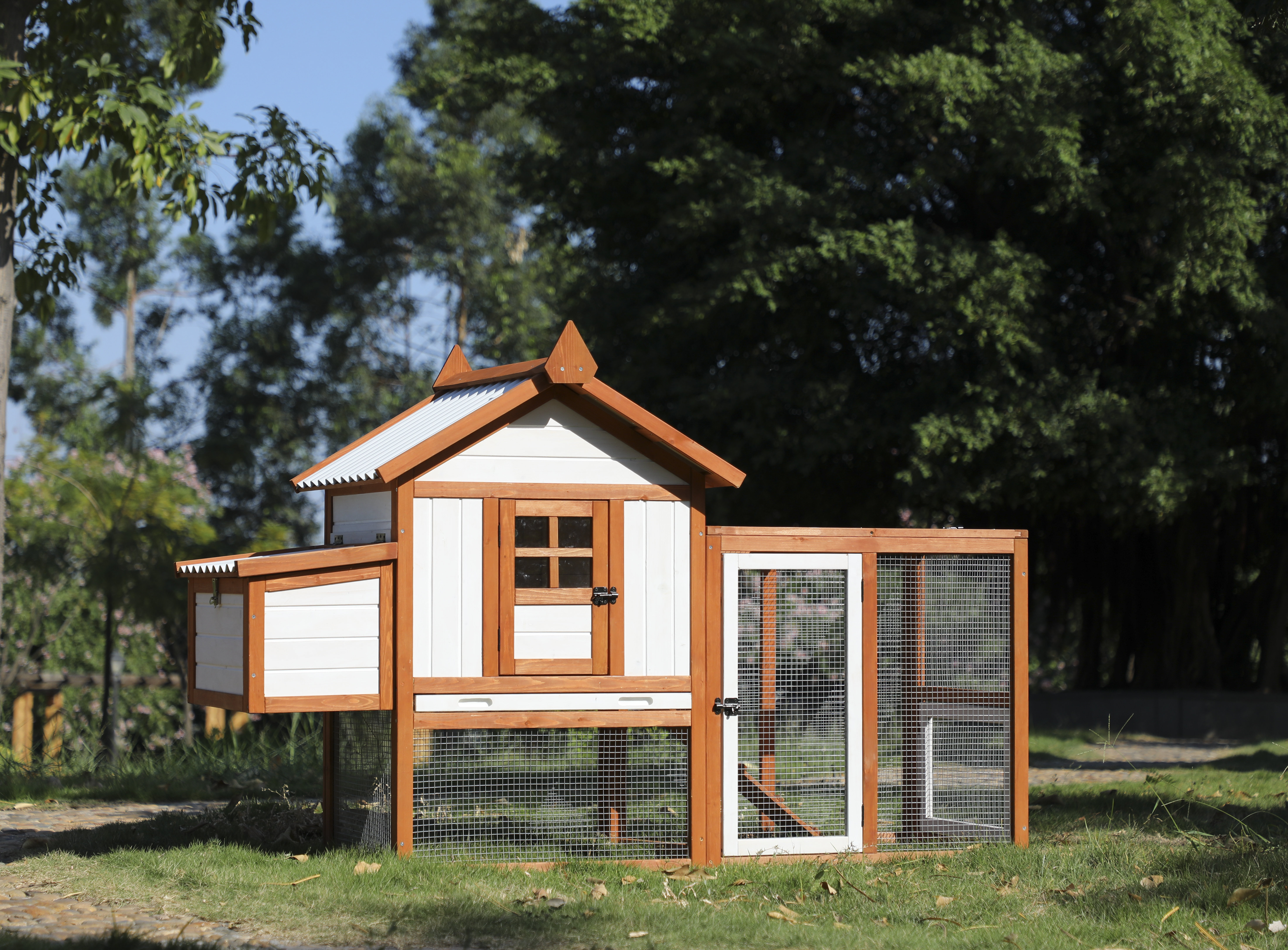 Tucker Murphy Pet™ Chahat Walk In Chicken Coop with Roosting Bar & Reviews | Wayfair