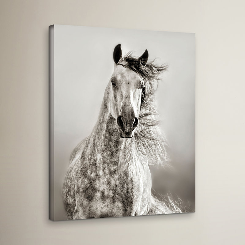 Caballo de andaluz, reproduction de photo sur toile tendue, H 32 po x l 24 po x P 2 po