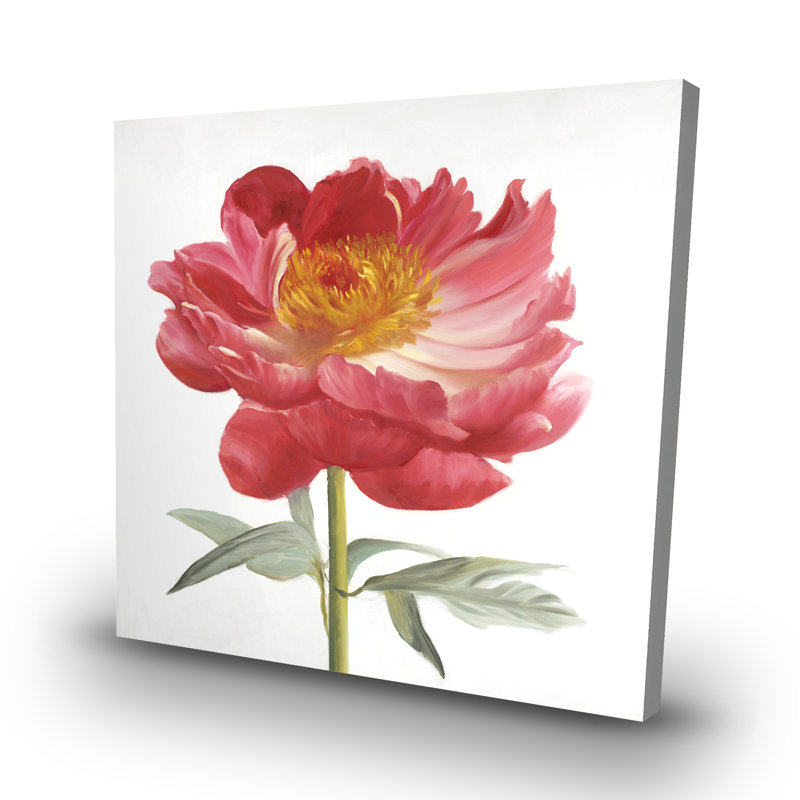 peony - 32"x32" art on canvas