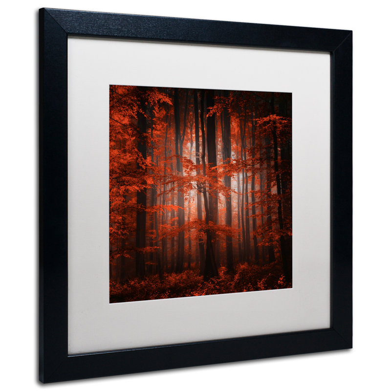 « red parallel univers », reproduction de photo sur toile encadrée, H 16 po x l 16 po x P 0,5 po