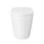 Toilette monobloc 12 po à chasse d'eau brute à chasse d'eau 1,1 GPF par Swiss Madison Hugo