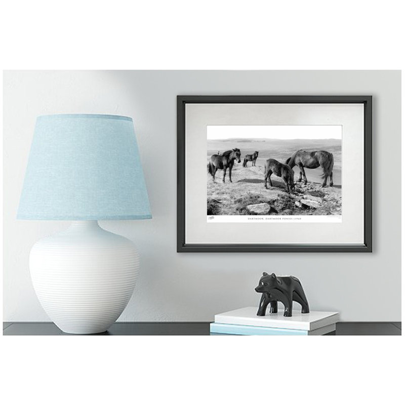 Dartmoor, Dartmoor Ponies C1960 - Single Picture Frame Print, 60cm H x 80cm W x 2.3cm D