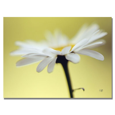 " Daisy III " by Lois Bryan