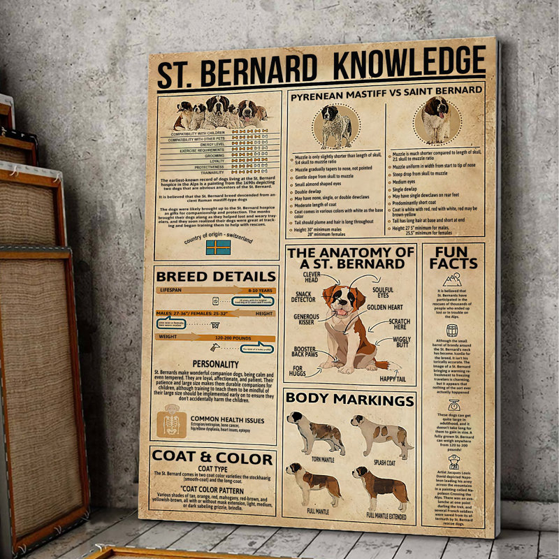 Toile tendue St.Bernard, H 14 po x l 11 po x P 2 po