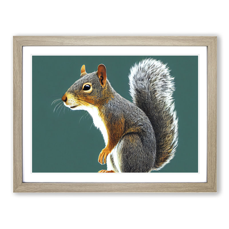 A Tantalising Squirrel - Framed Print, 34cm H x 46cm W x 2cm D, Oak