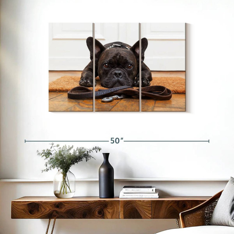 Bouledogue français en attente, H 24 po x l 38 po