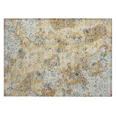 Machine Washable Indoor/Outdoor Chantille ACN2584 Traditional Rug
