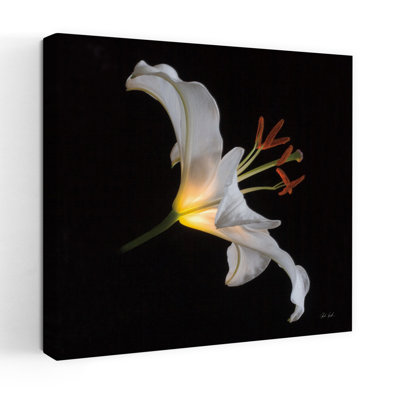 Art floral contemporain Lily