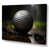 Wrapped Canvas