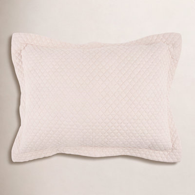 Teo Cotton Shams