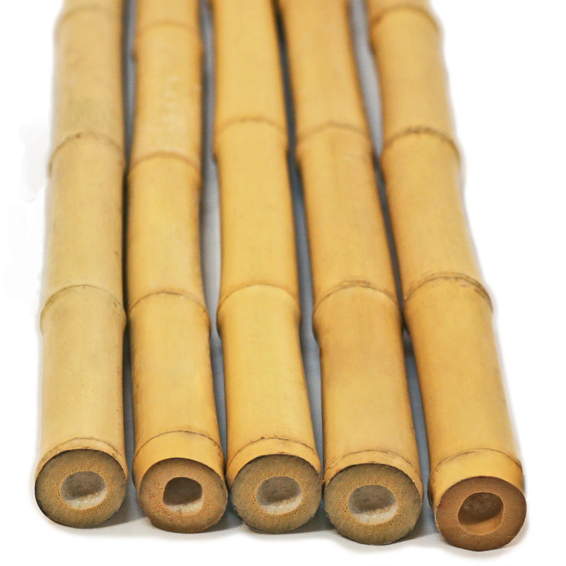 Poteaux de jardin en bambou naturel pour clôture, Ensemble de 25 pièces: P 1 po x H 6 pi, Naturel