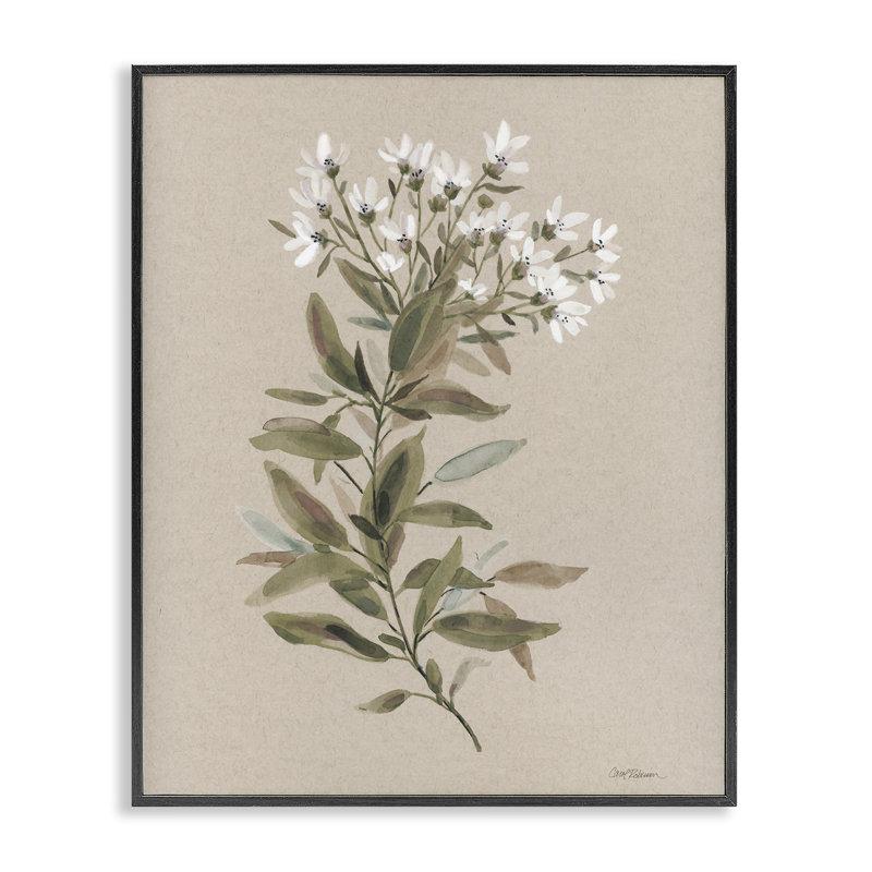 Aquarelle, fleur sauvage, brin, giclée sur toile par Carol Robinson, Giclée encadrée noir minuit, H 14 po x l 11 po