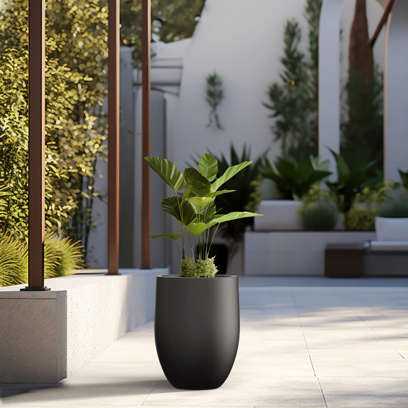 Pot à fleurs en ciment Irmelie, Noir anthracite, H 21,65 po x l 16,93 po x P 16,93 po
