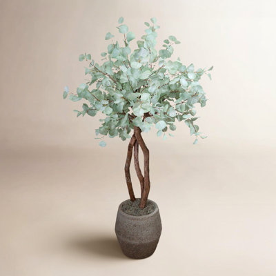 Santiago 65" Eucalyptus Tree in Pot