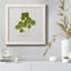 Toile encadrée pressée «Clover II» de qualité supérieure - prête à être accrochée-477127864-477127868
