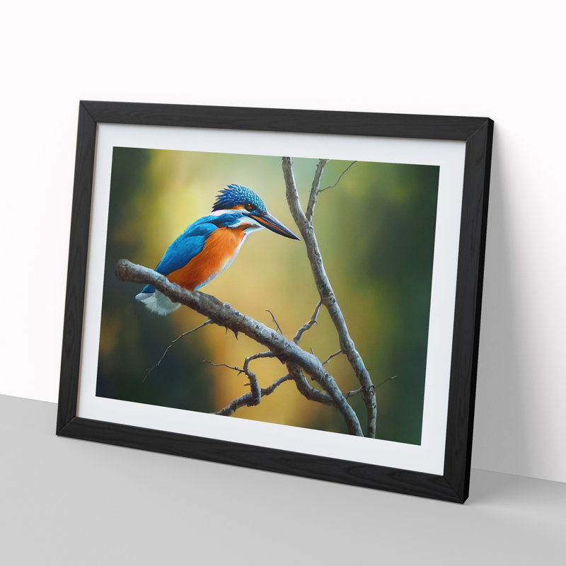 Cool Kingfisher Bird - Framed Print, Black, 34cm H x 46cm W x 2cm D