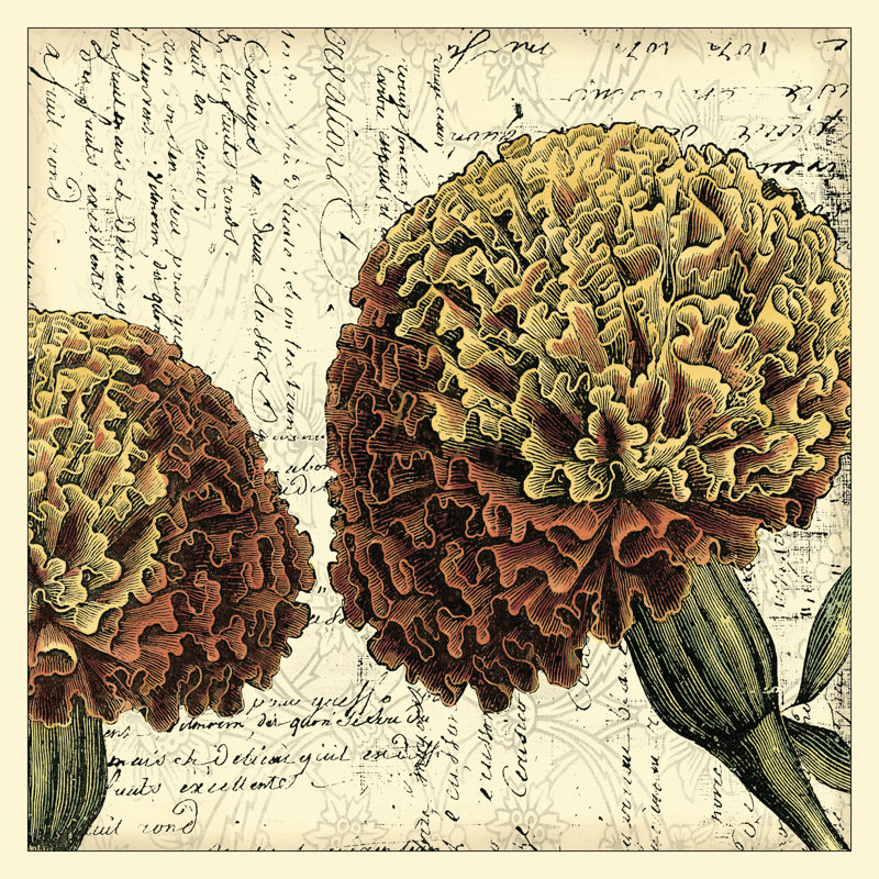 Vintage Composition IV - Wrapped Canvas Print, 51cm H x 51cm W x 3.8cm D