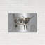 «Longhorn Study I» par Ethan Harper-2001021988