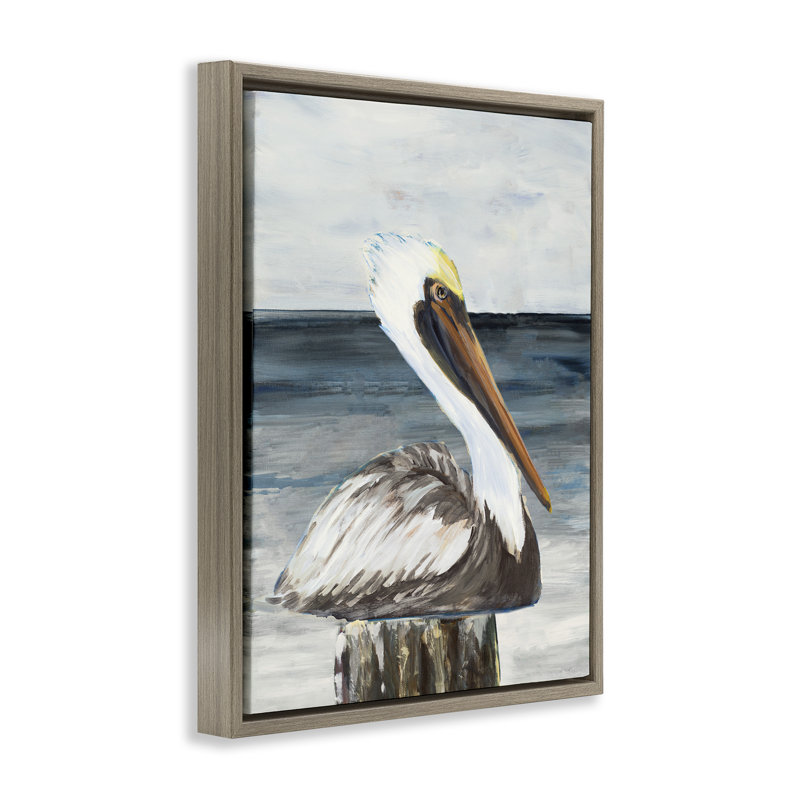 «Resting Beach Pelican», art mural encadré flottant par Julie DeRice, Cadre flottant orme Montalcino, H 21 po x l 17 po
