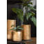 Fishel Ceramic Planter-764761724