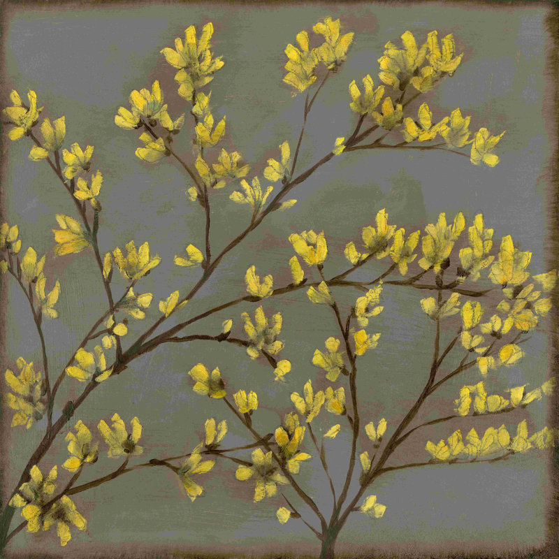 Forsythia I, H 12 po x l 12 po