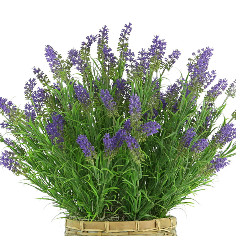 Outdoor UV-Rated Lavender in Basket Planter