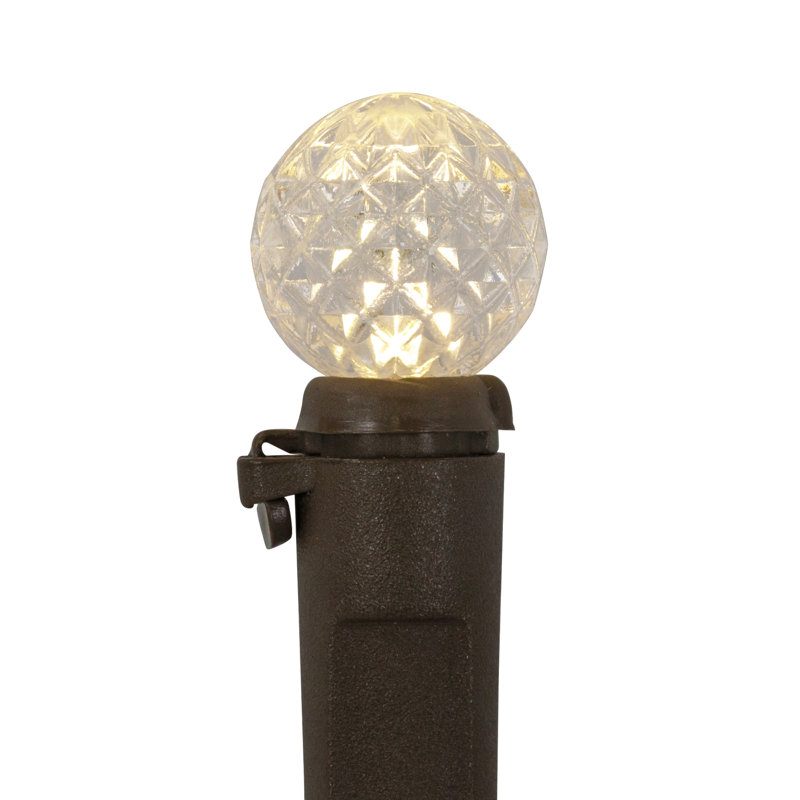 LED G12 Berry Christmas Lights - 16' Brown Wire - 50 Ct, Warm White