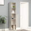 Attwood Bookcase-541208429-664350953