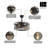 20" Kinzel 8 - Blade Caged Ceiling Fan with Light Kit Included-980972530-980972525