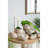 11.5X7x7 Inches Sand And Cement Shell Planter To Bring A Coastal Atmosphere Your Lounge