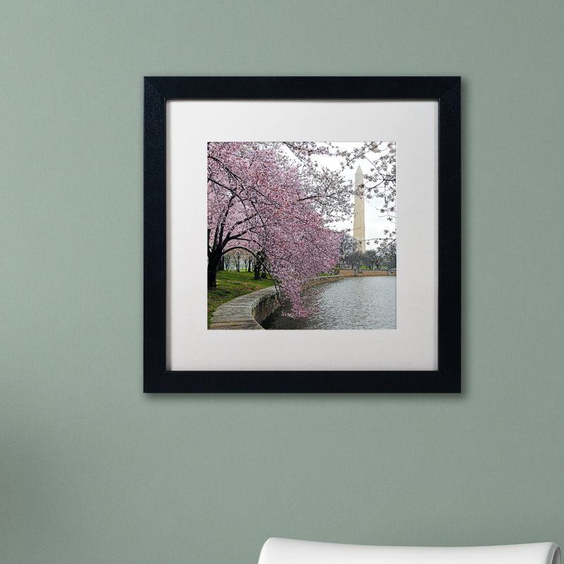 Washington Blossoms Framed Photographic Print, White, 16" H x 16" W x 0.5" D