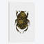 «Beetle I», impression sur toile-29679565-74377167-74397899