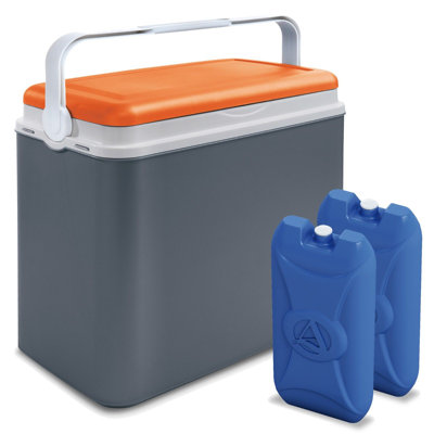 Wayfair Basics™ 24L Handheld Cooler