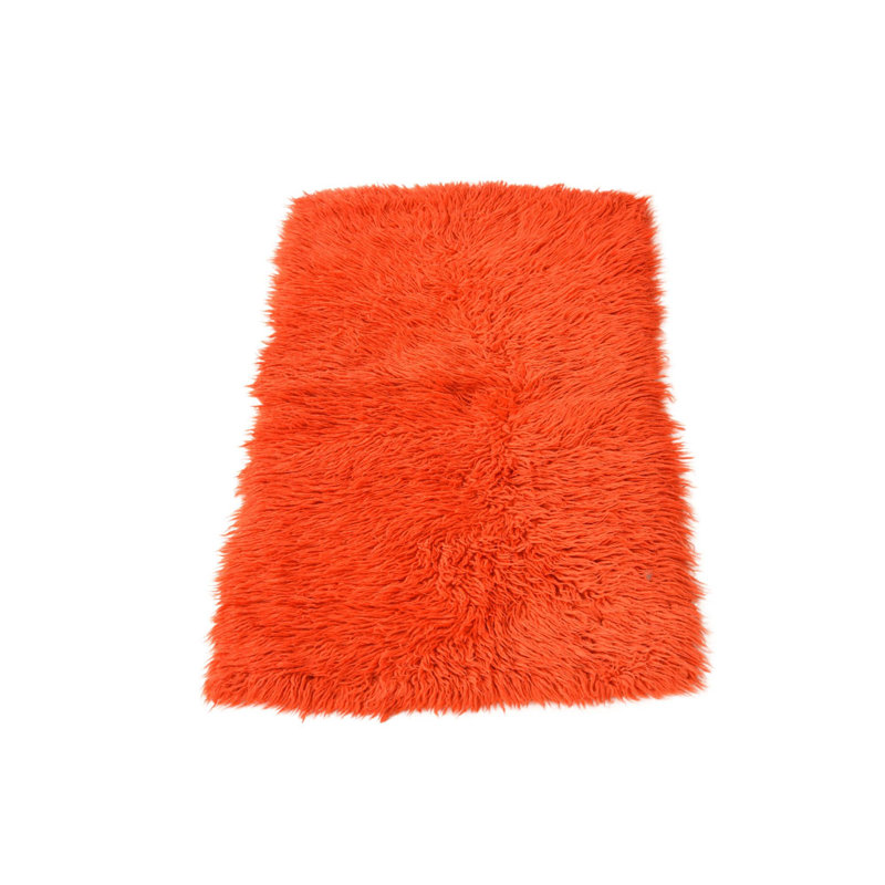 Iraheta Orange Rug
