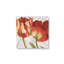 «Spring Tulips Red I» par Carol Rowan, reproduction d'art sur toile-1280090185