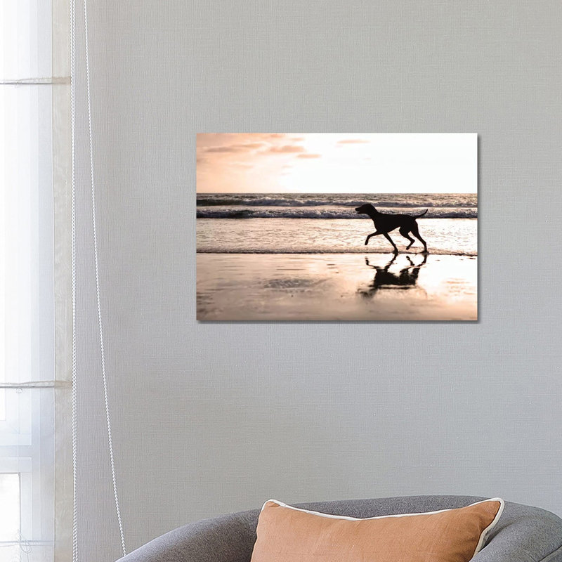 Dog Running On Beach At Sunset by Susan Schmitz - Wrapped Canvas Gallery-Wrapped Canvas Giclée