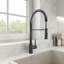 Livenza 2.0 Pull-Down Kitchen Faucet-1638477011