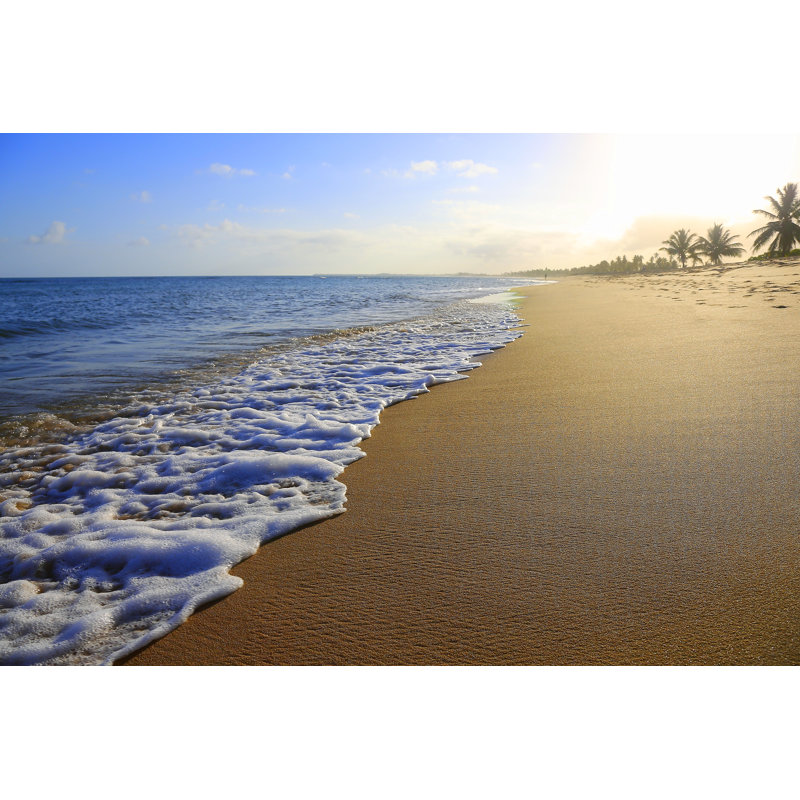 Tropical Paradise by Agustavop - Wrapped Canvas Print, 20cm H x 30cm W