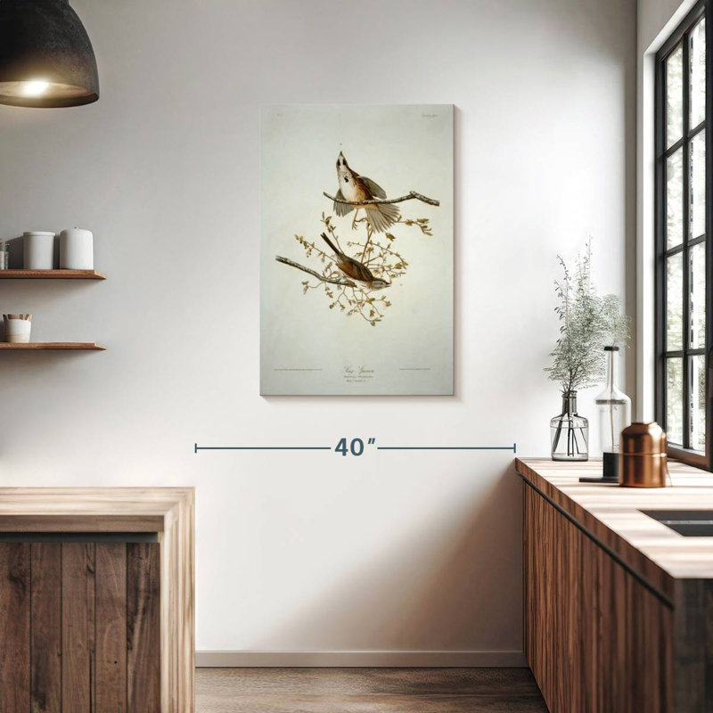 Bruant chanteur des oiseaux d'Amérique, H 36 po x l 24 po
