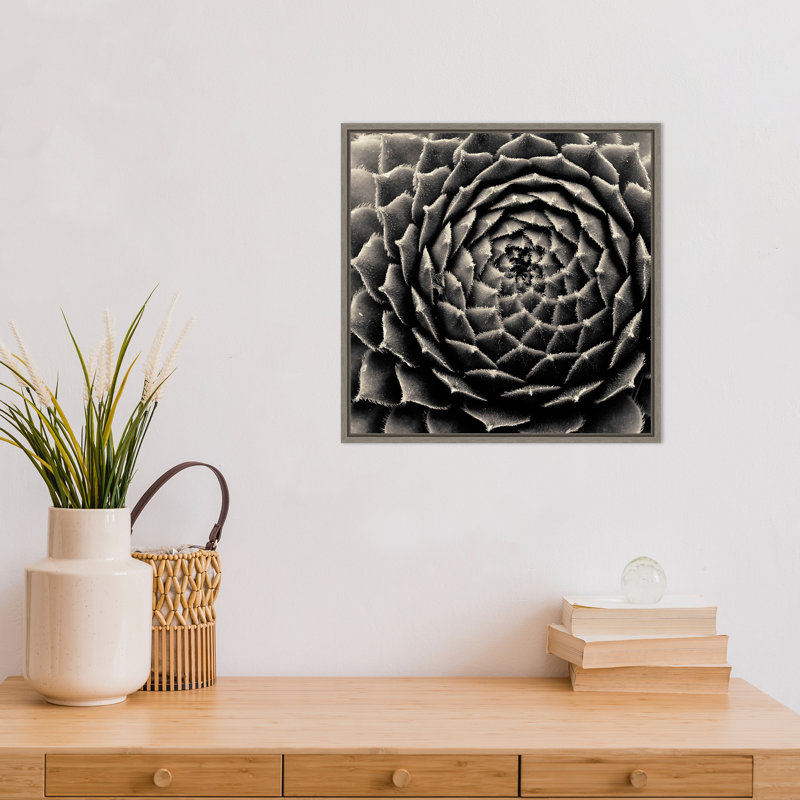" Succulent " by Gary Horsfall