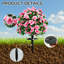 21 " Arrangement-373057579