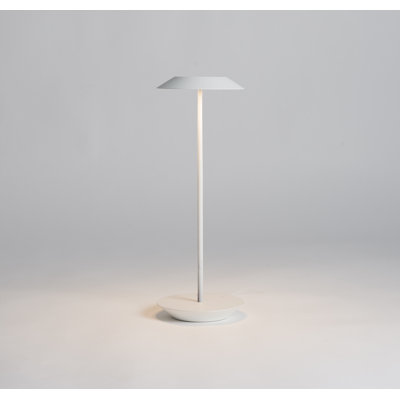 Royyo LED Desk Table Lamp