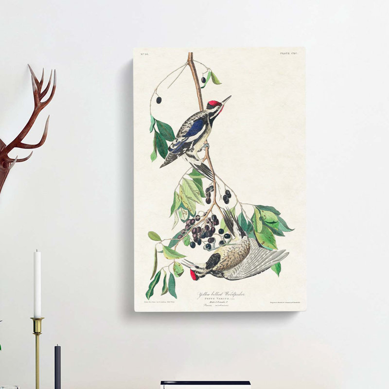 Yellow-Bellied Woodpeckers by John Audubon - Wrapped Canvas, 60cm H x 40cm W x 3cm D