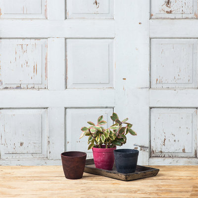 Nashville Pot Planter